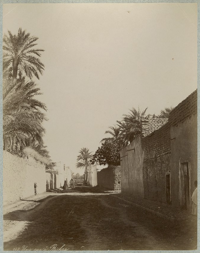 Tirage Albuminé Vintage Algérie (Biskra) - Circa 1880, Format 26.5x18.5 Cm, Original